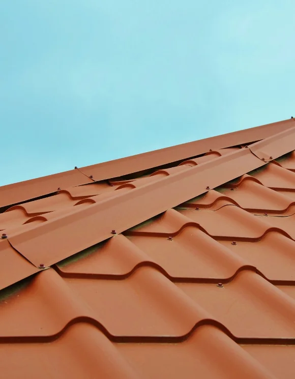 Démoussage professionnel de toiture - Protection durable à Dijon